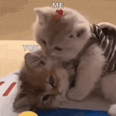 Sped Up Kiss GIF