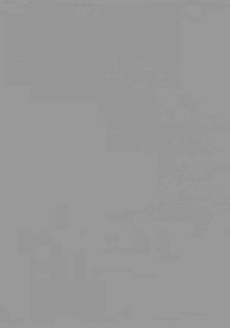 Spider Creepy GIF
