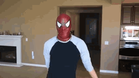 Spider Denk Denk Ops GIF