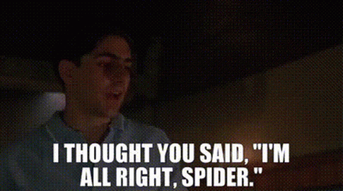 Spider Goodfellas GIF. This 498 x 278 animated GIF is part of our goodfellas collection. Related themes include spider. Created by djg123. View the original…