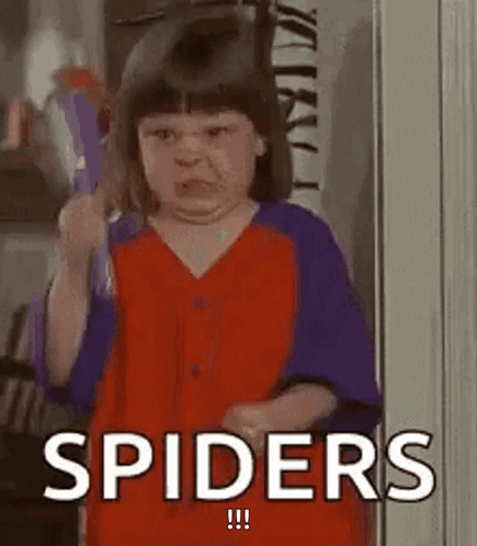 Spider Man GIF. This 435 x 498 animated GIF is part of our spider collection. Created by tammymcever. View the original animation, share it, or browse…