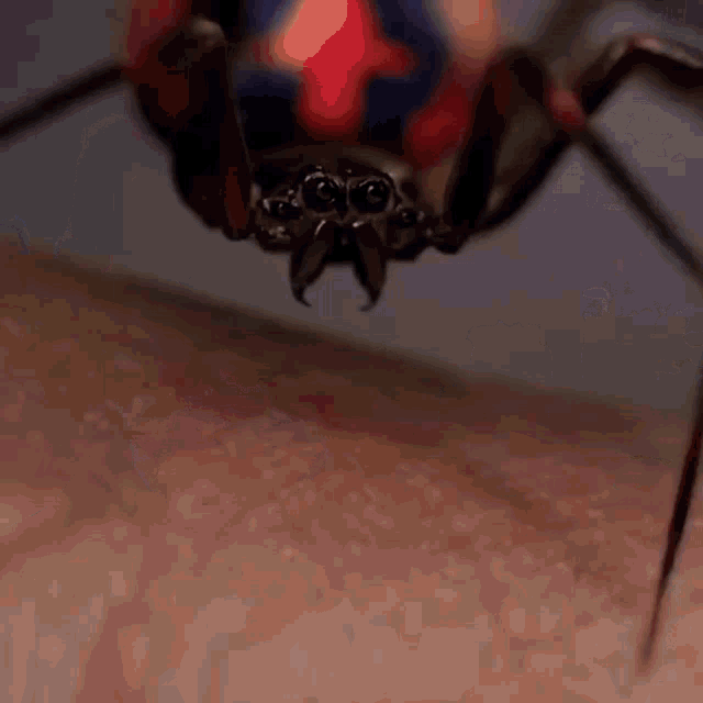 Spider Man Pepe GIF
