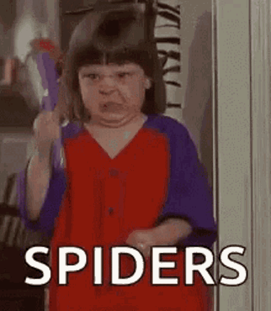 Spider Man GIF