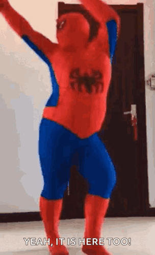 Spiderman Superhero GIF