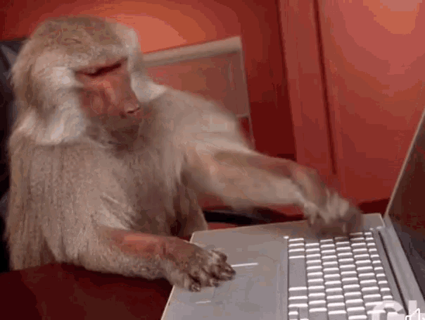 Spike Monkey Typing GIF
