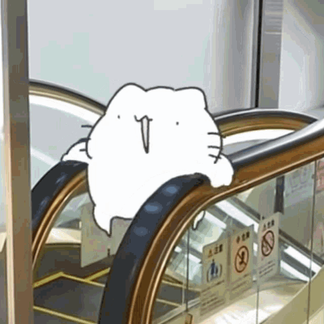 Spin Cat GIF