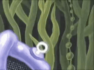 Spinchbob Spongebobchineseboy GIF