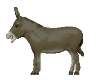 Spinning Donkey Sticker