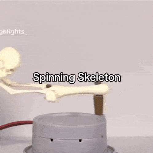 Spinning Skeleton Wheel GIF