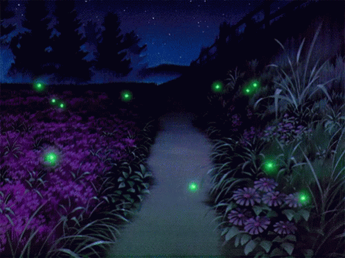Spirited Away Fireflies GIF. This 498 x 372 animated GIF is part of our shiny firefly collection. Related themes include nature. View the original…