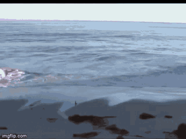 Spiritus Ocean GIF