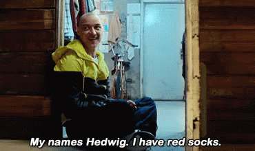 Split Hedwig GIF