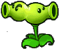 Split Pea Sticker