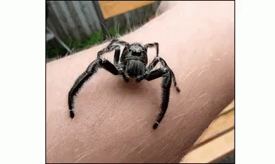 Splitdepthgifs GIF
