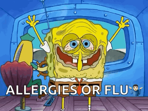Spongebob Spongebob Meme GIF
