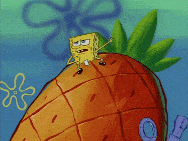 Spongebob Spongebob Squarepants GIF