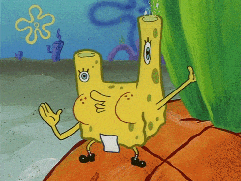 Spongebob Spongebob Squarepants GIF