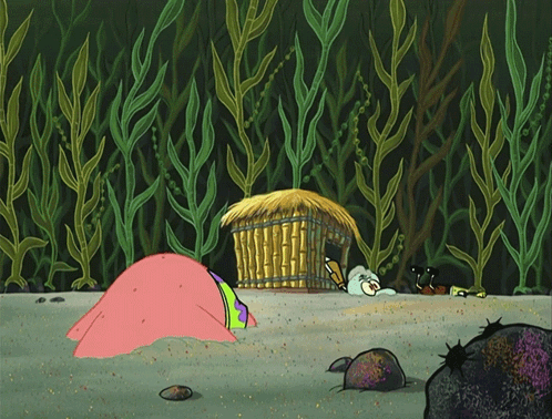 Spongebob Spongebob Squarepants GIF