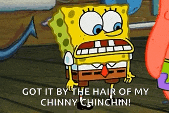 Spongebob Squarepants GIF