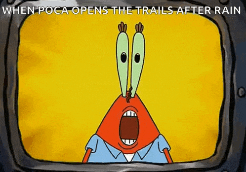 Spongebob Squarepants Mr Krabs GIF