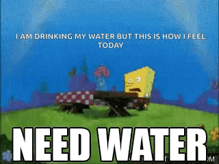 Spongebob Squarepants Need Water GIF
