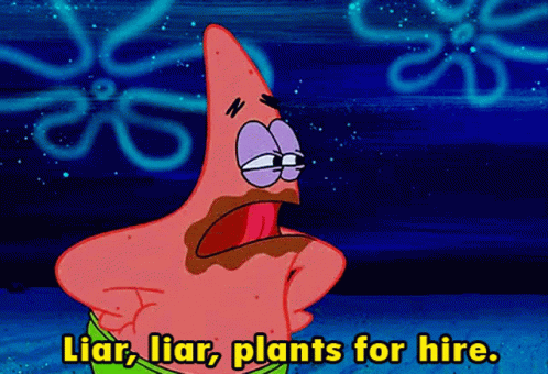 Spongebob Squarepants Patrick Star GIF