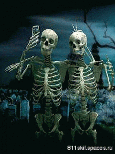 Spooky Season GIF