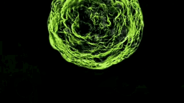 Spore Bacteria GIF