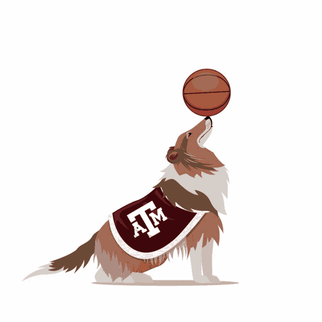 Sports Sportsmanias GIF