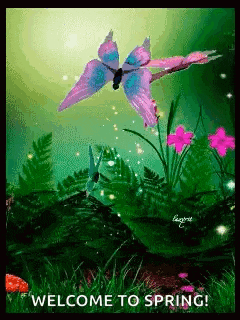 Spring GIF