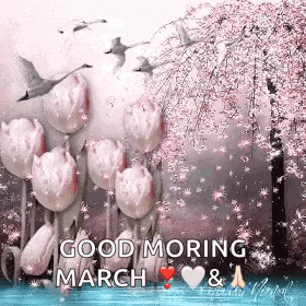 Spring Flowers GIF