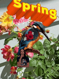 Spring Goodmorningspring GIF