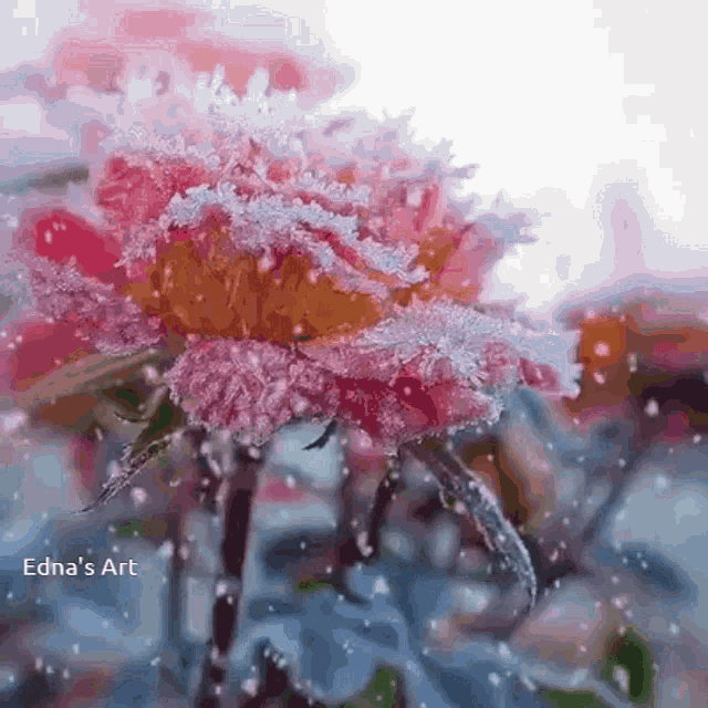 Spring Snow GIF