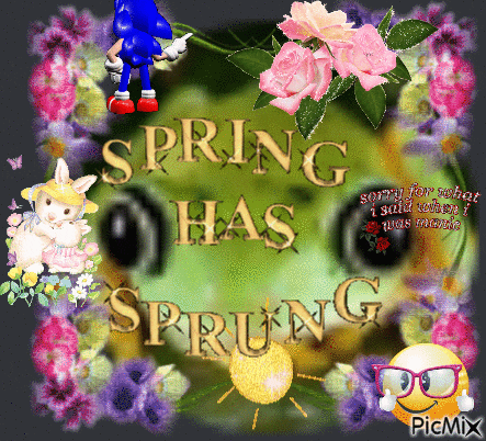 Spring Springtime GIF