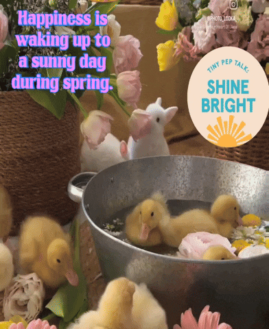 Spring Time GIF