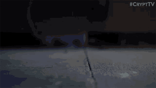 Sprouting Flower The Birch Show GIF