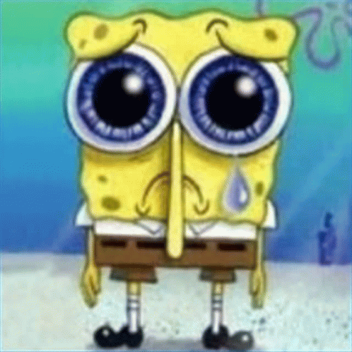 Spunch Bop Spunchbob GIF