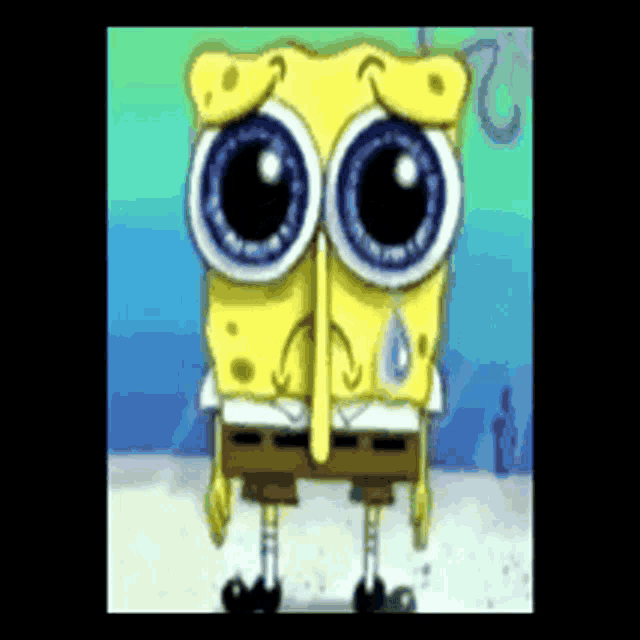 Spunchsquish GIF