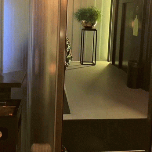 Spying Armia GIF. This 498 x 498 animated GIF is part of our sneaking up on someone collection. Related themes include peeking, sneaking. Created by…