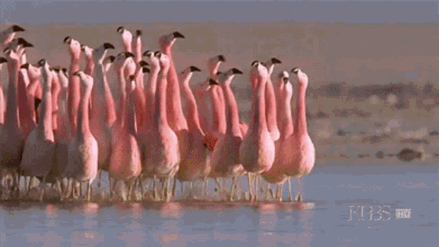 Squad Goals Lets GIF