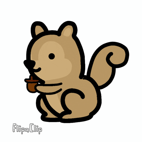 Squirrel Eat GIF