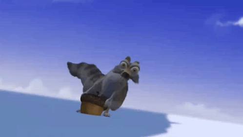 Squirrel Ecureuil GIF