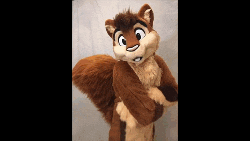 Squirrel GIF