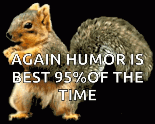 Squirrel Funny GIF. This 498 x 398 animated GIF is part of our funny squirrel collection. Related themes include crazy, dance, dancing. Created by…