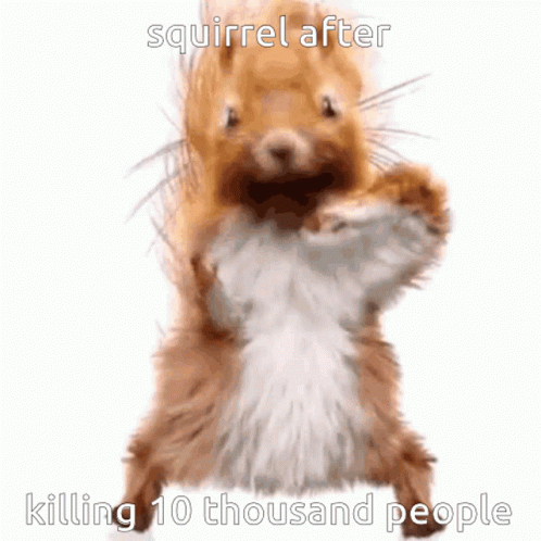 Squirrel Night Bunny GIF. This 498 x 498 animated GIF is part of our funny squirrel collection. Related themes include squirrel. Created by katyonaga. View…