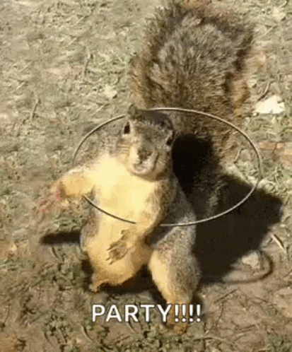Squirrel Rotating GIF. This 413 x 498 animated GIF is part of our funny squirrel collection. Related themes include party, squirrel. Created by…