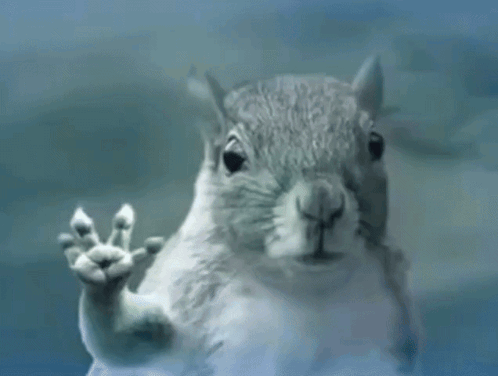 Squirrel Squirrel Flying Away In Storm GIF