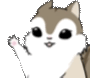 Squirrel Squirrelhi Sticker