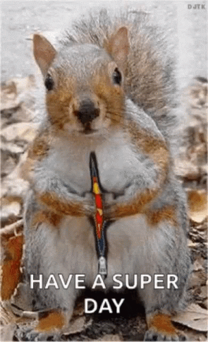 Squirrel Super GIF. This 303 x 498 animated GIF is part of our funny squirrel collection. Related themes include cute, squirrel, super. Created by…