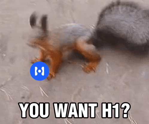 Squirrel You Want GIF. This 498 x 415 animated GIF is part of our funny squirrel collection. Related themes include dance, meme, squirrel. Created by…